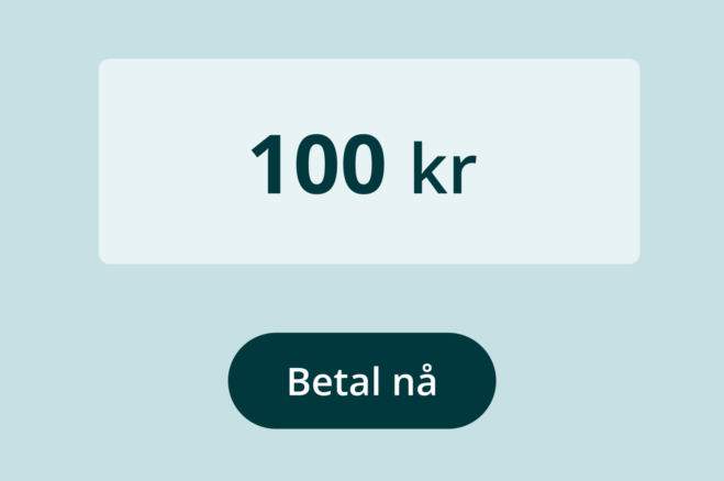 Illustrasjon av funksjon Betal nå i mobilbanken